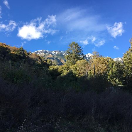 Ca' Rosina. Una Casetta Nel Bosco. Ferrara di Monte Baldo Exterior foto