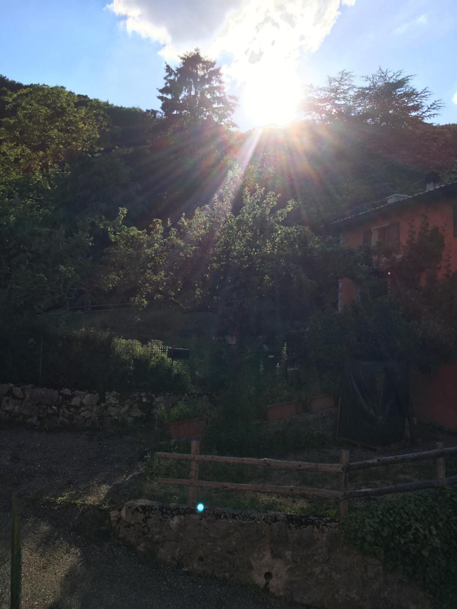 Ca' Rosina. Una Casetta Nel Bosco. Ferrara di Monte Baldo Exterior foto