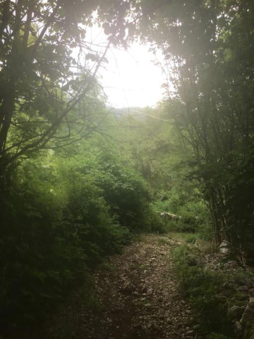 Ca' Rosina. Una Casetta Nel Bosco. Ferrara di Monte Baldo Exterior foto