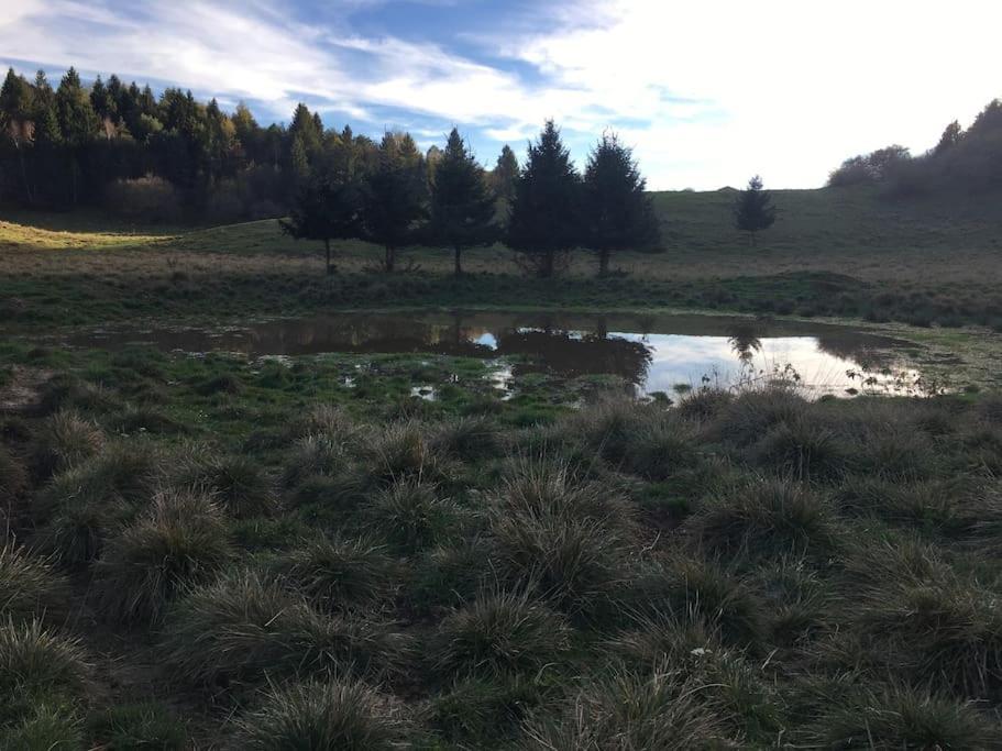 Ca' Rosina. Una Casetta Nel Bosco. Ferrara di Monte Baldo Exterior foto