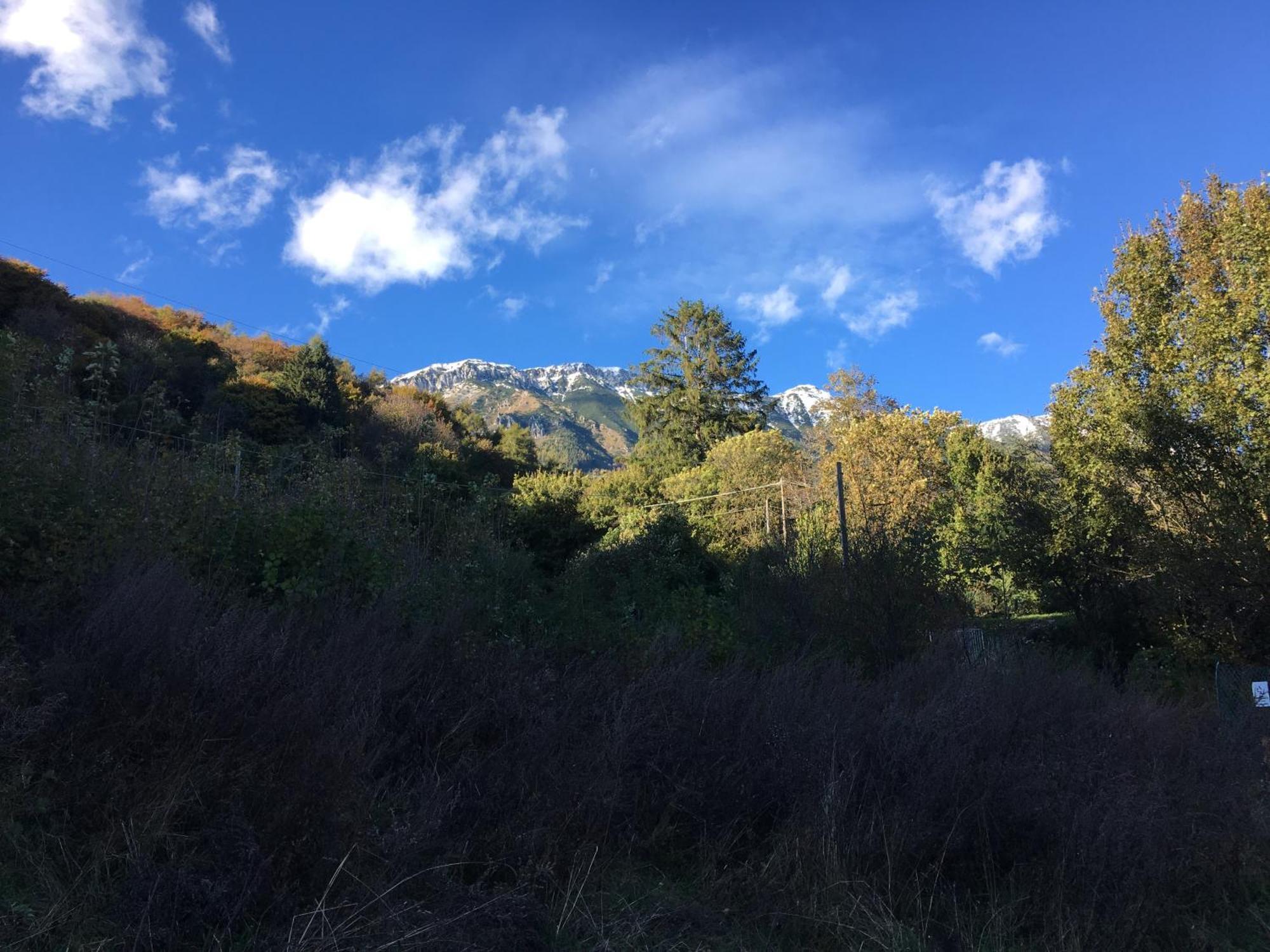Ca' Rosina. Una Casetta Nel Bosco. Ferrara di Monte Baldo Exterior foto